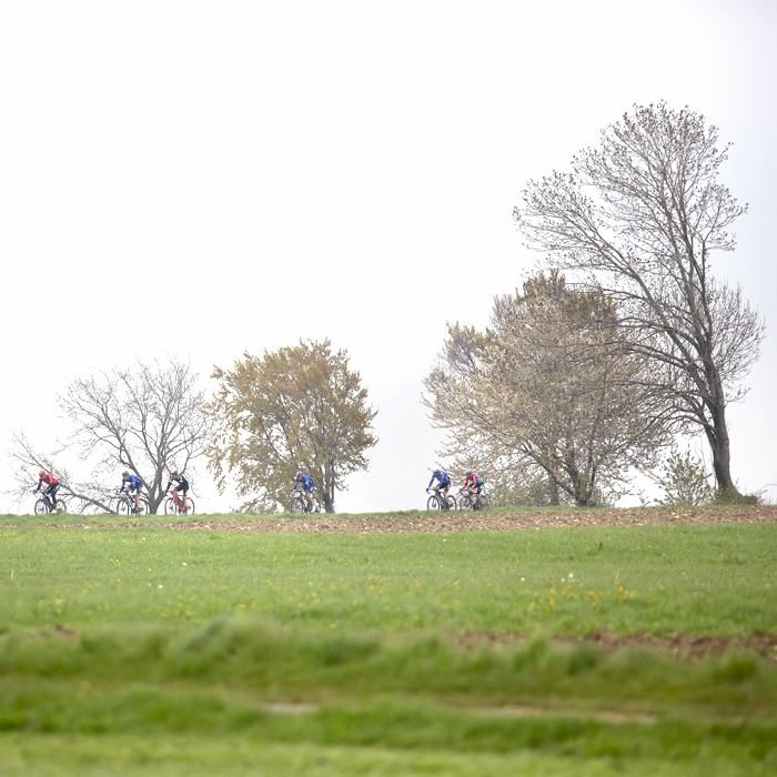 Amstel Gold Race 2023 - A group of riders pass a line of trees in the distance