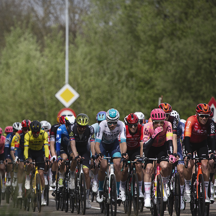 Amstel Gold Race 2024 - The peloton on Valkenburgerweg 