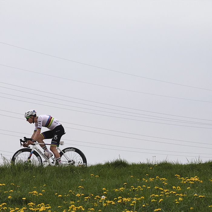 Amstel Gold Race 2025 - Tadej Pogačar solos past fields of yellow flowers with wires behind him on Schaapsdries