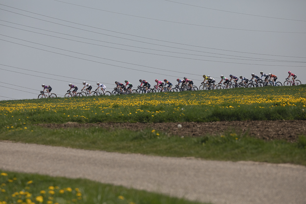 Amstel Gold Race Ladies Edition 2025 - The peloton is seen on the ridge of Schaapsdries with yellow flowers in the foreground
