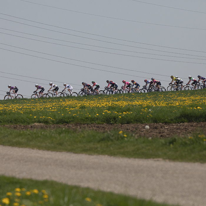 Amstel Gold Race Ladies Edition 2025 - The peloton is seen on the ridge of Schaapsdries with yellow flowers in the foreground