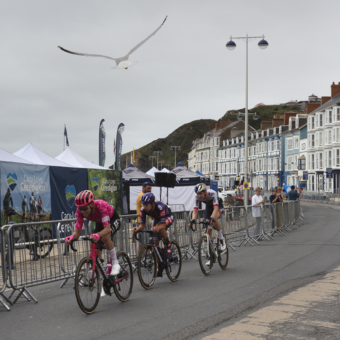British National Road Championships 2025 - Road Race - Men - a group of riders race along the seafront in Aberystwyth as a seagull swoops overhead