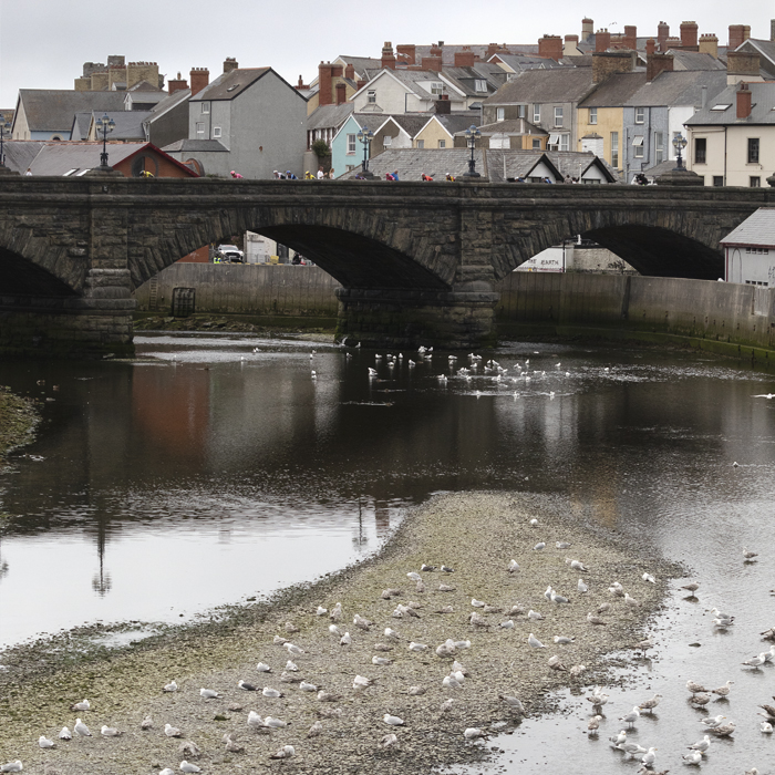 British National Road Championships 2025 - Road Race - Men - riders cross a bridge in Aberystwyth while seagulls rest of a spit of land in the river