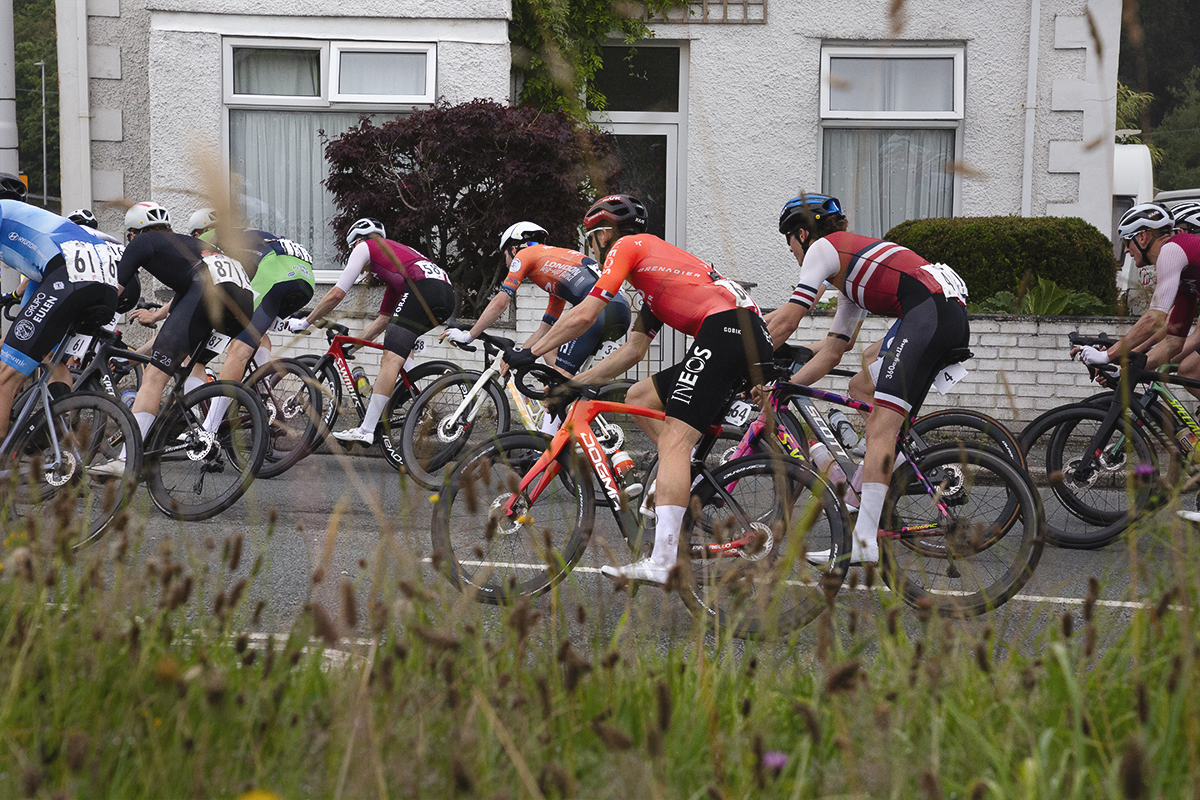 British National Road Championships 2025 - Road Race - Men - the race seen through roadside plants at  Llanfarian