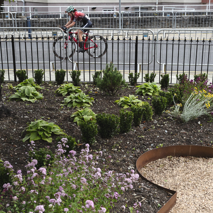 British National Road Championships 2025 - Road Race - Women - Niamh Murphy of Smurfit Westrock Cycling Team rides past ornamental planting