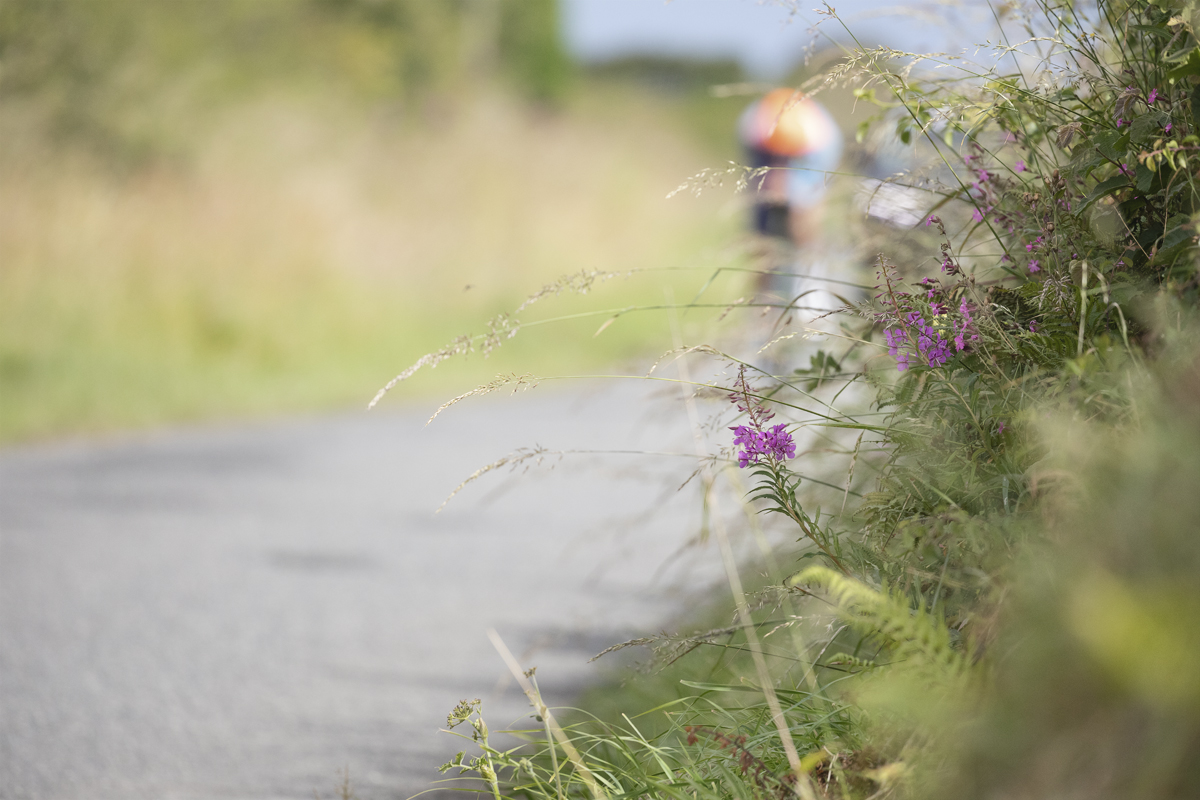 British National Road Championships 2025 - Time Trial - U23 Men - A calm country lane as a river approaches in the distance