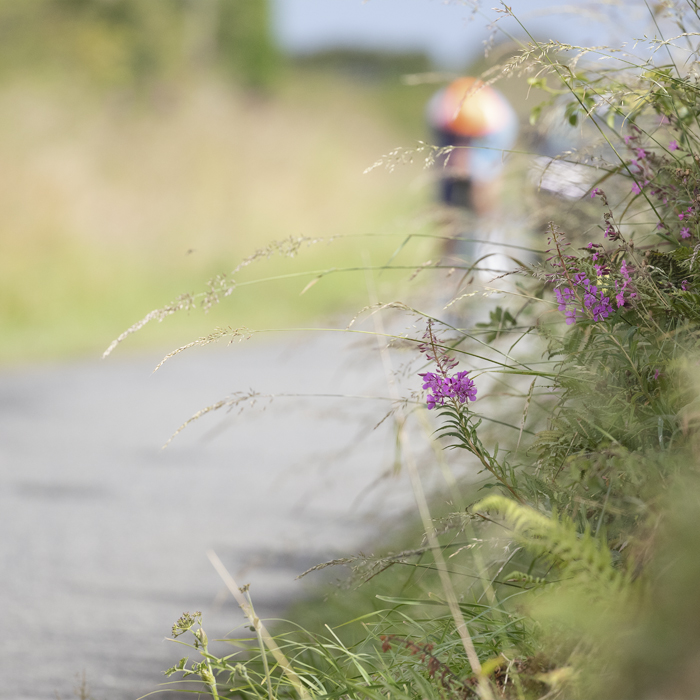 British National Road Championships 2025 - Time Trial - U23 Men - A calm country lane as a river approaches in the distance