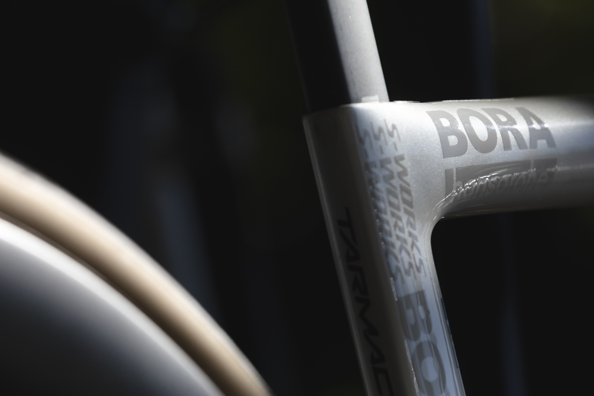 Coppa Bernocchi 2025 - S-Works Tarmac bike frame