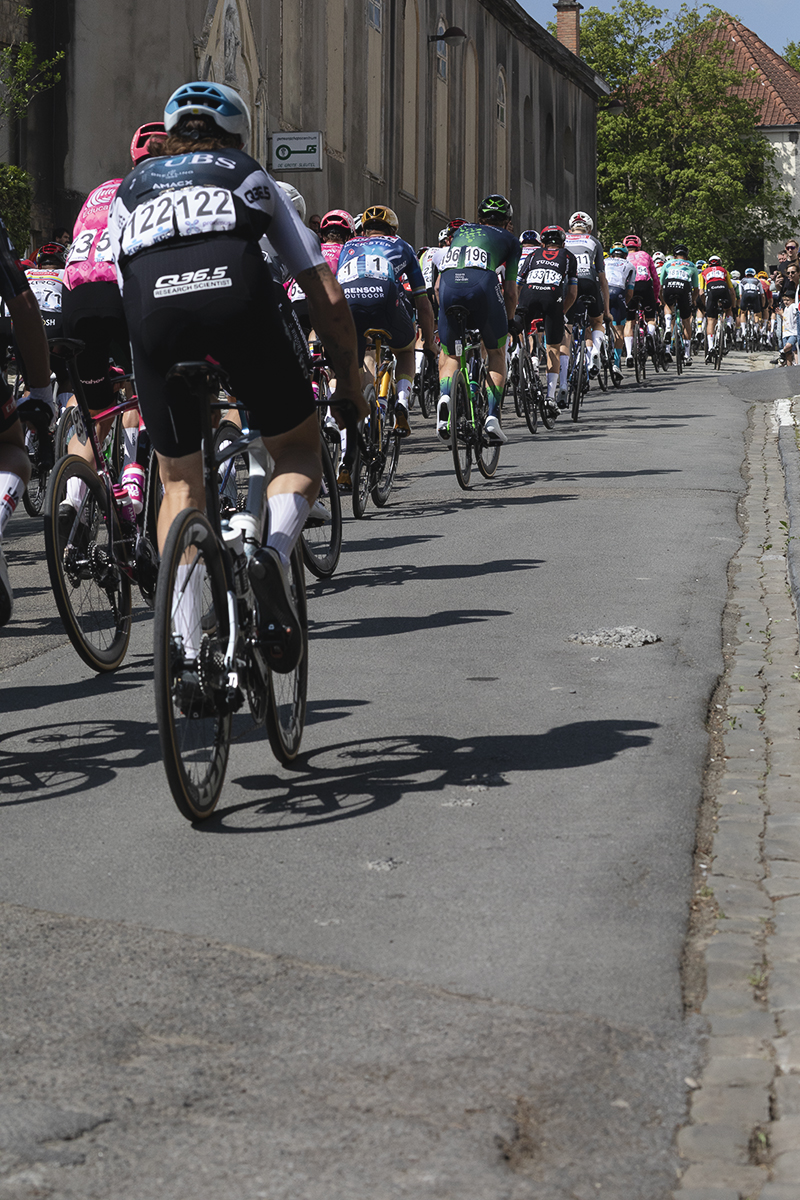 De Brabantse Pijl 2025 - The peloton seen from behind as they tackle the climb