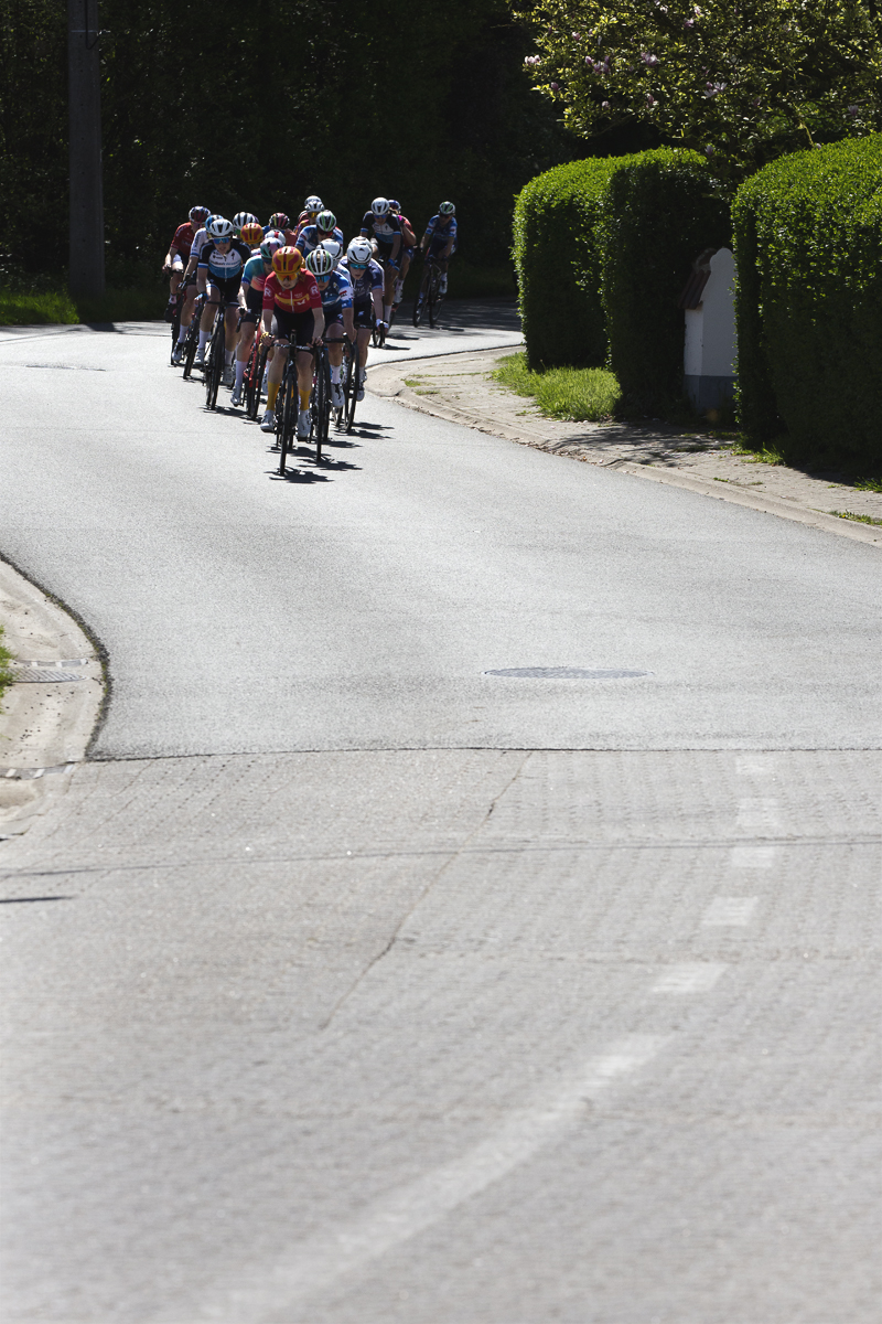 De Brabantse Pijl Vrouwen 2024 - The peloton passes neatly trimmed hedges on Wolfshaegen