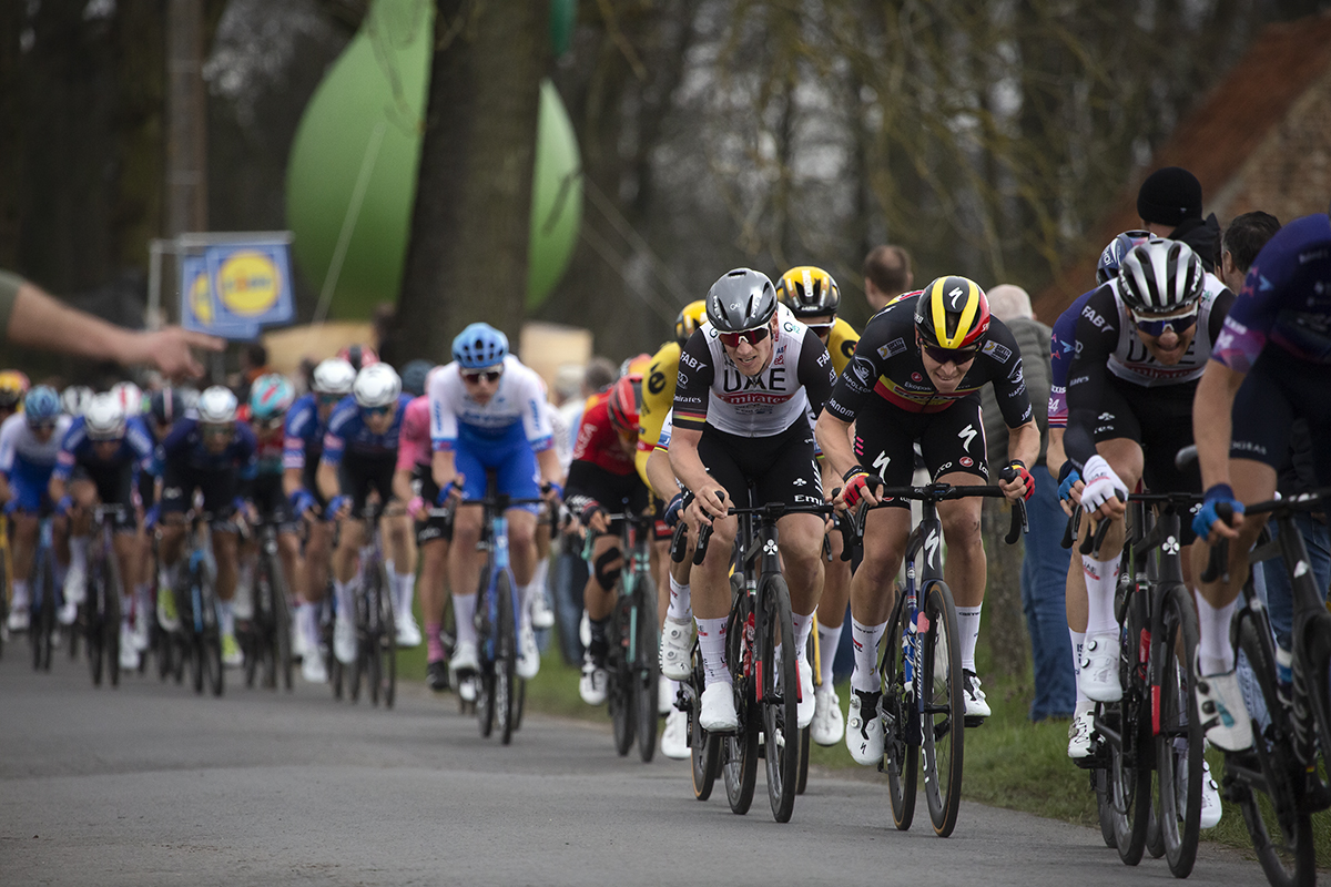 Dwars Door Vlaanderen 2023 -Tim Merlier of Soudal Quick-Step and UAE Team Emirates’ Pascal Ackermann sprint along Drogenbroodstraat