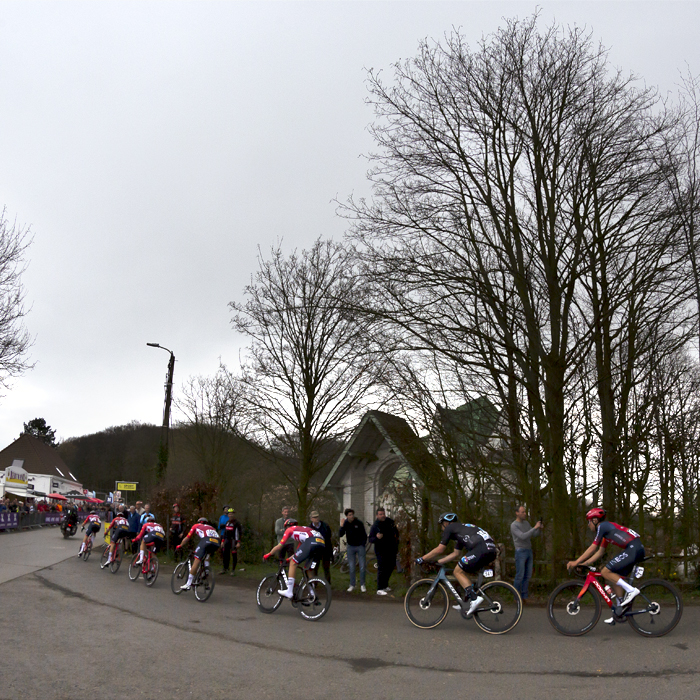 Dwars Door Vlaanderen 2023 - The race going passes a roadside shrine