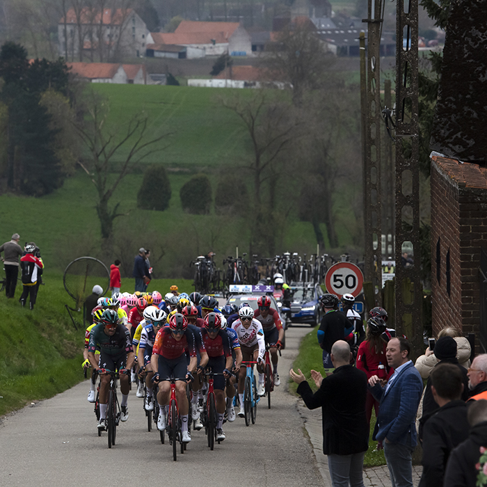 Dwars Door Vlaanderen 2023 - The peloton approach on the Rue de Trieu