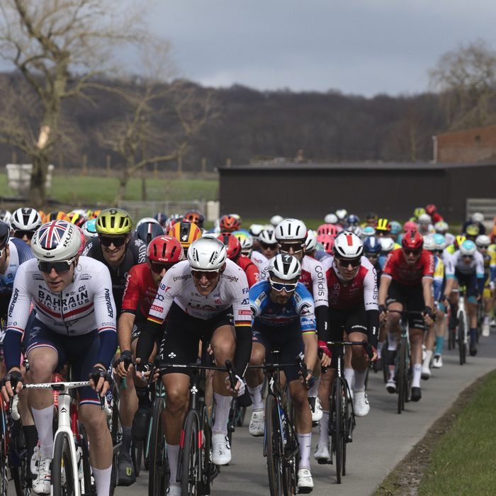 Dwars Door Vlaanderen 2024 - The peloton on Chau de Renaix
