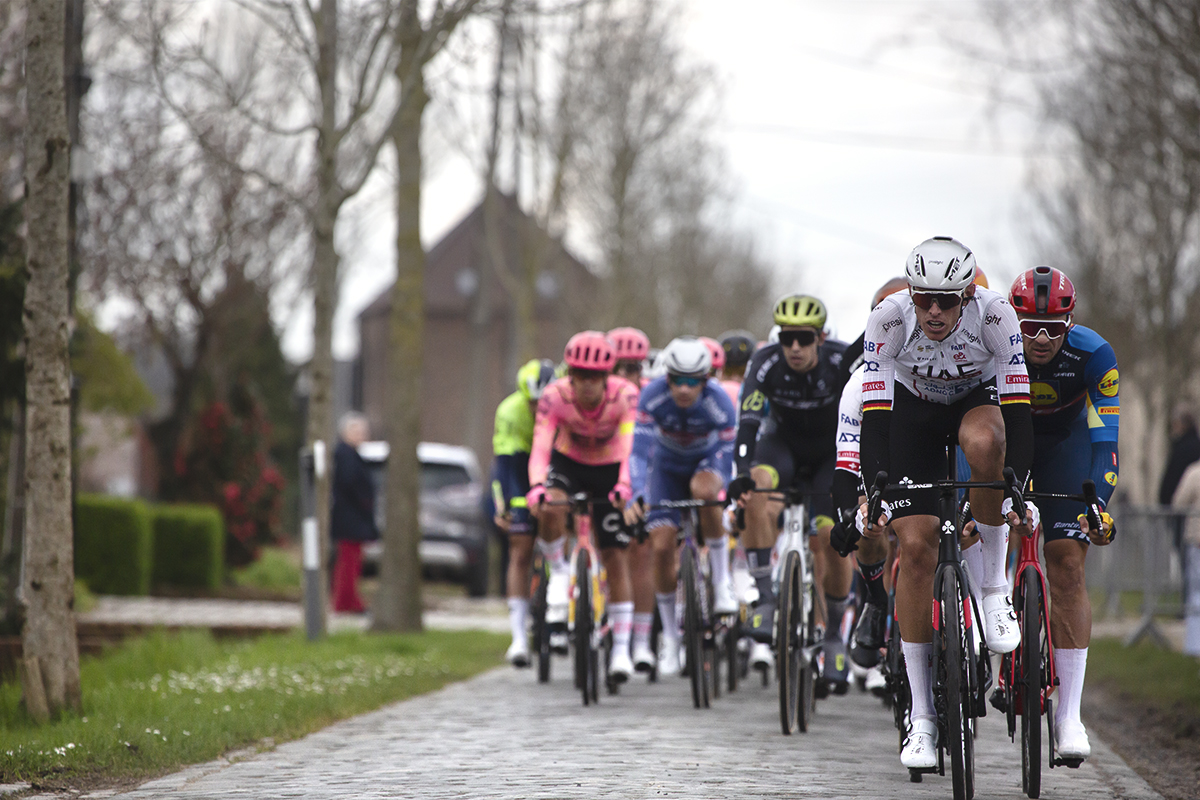 Dwars Door Vlaanderen 2024 - The peloton tackles the cobbles of Varentstraat