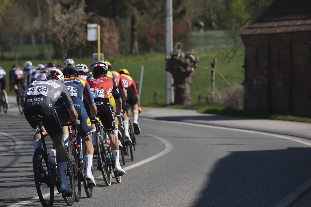 Dwars Door Vlaanderen 2025 - The peloton seen from behind with fields and coppiced trees in the background