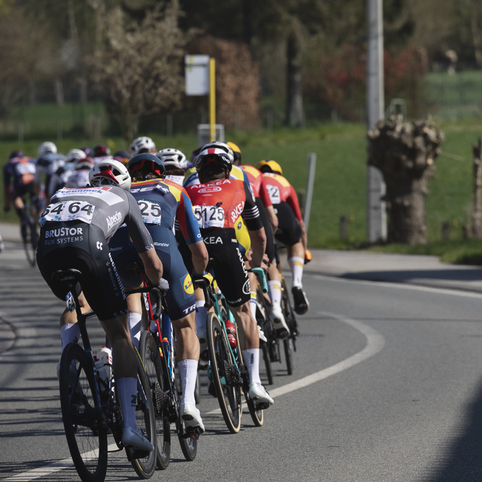 Dwars Door Vlaanderen 2025 - The peloton seen from behind with fields and coppiced trees in the background