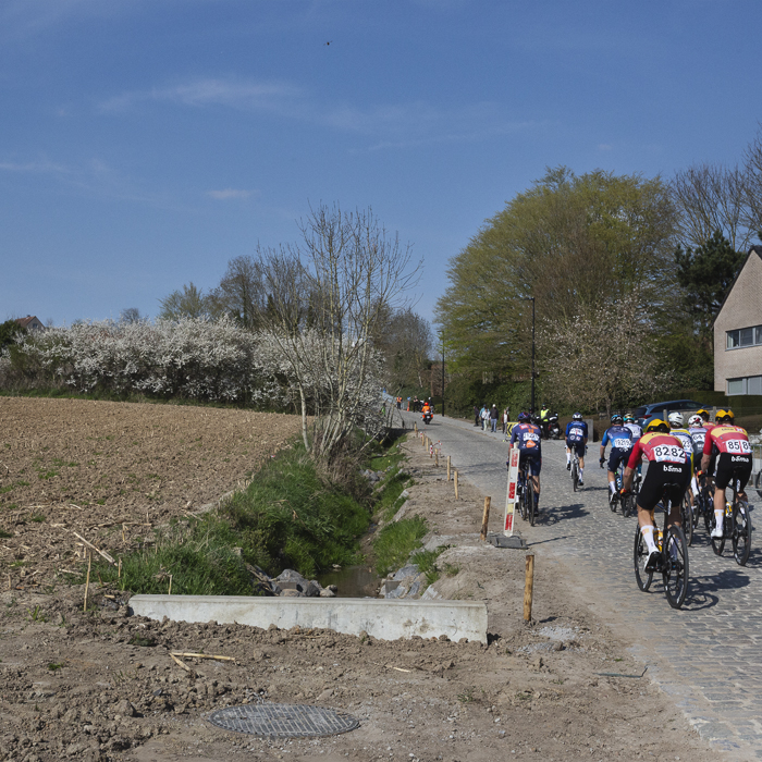 Dwars Door Vlaanderen 2025 - The peloton seen from behind on the Eikenberg