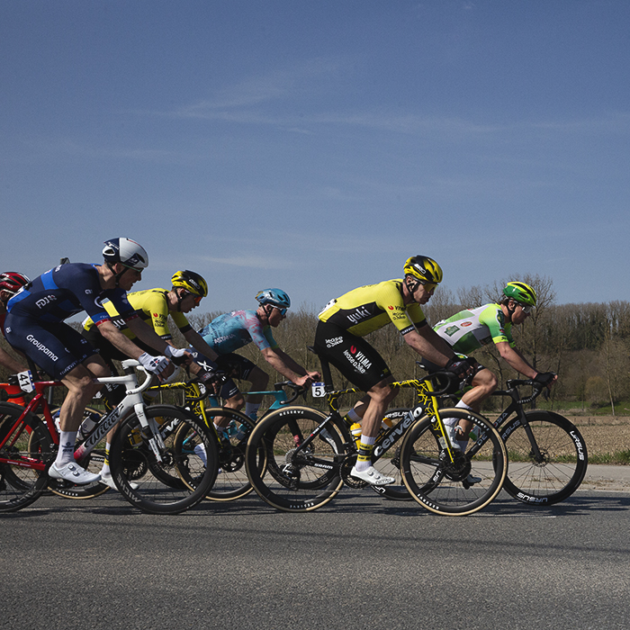 Dwars Door Vlaanderen 2025 - Riders come into view with a wooded hillside behind them