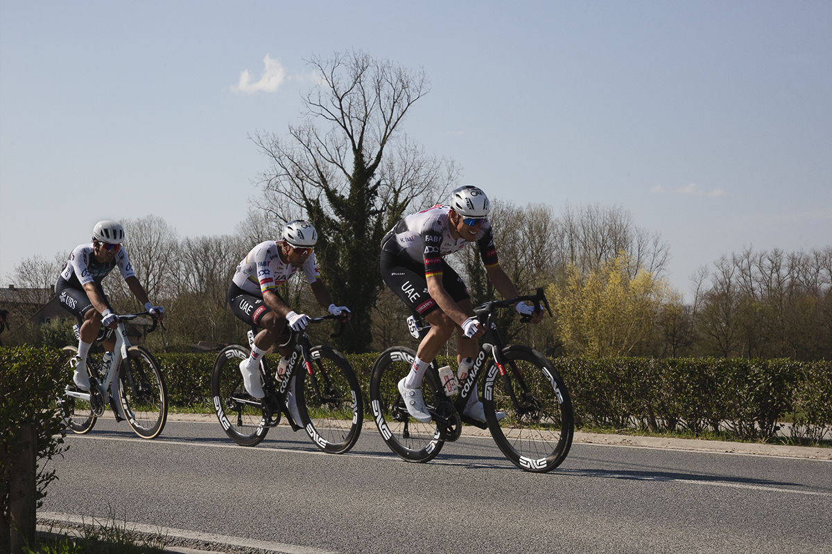 Dwars Door Vlaanderen 2025 - A group of riders races down the road lined with small hedges, a leafless tree in the background