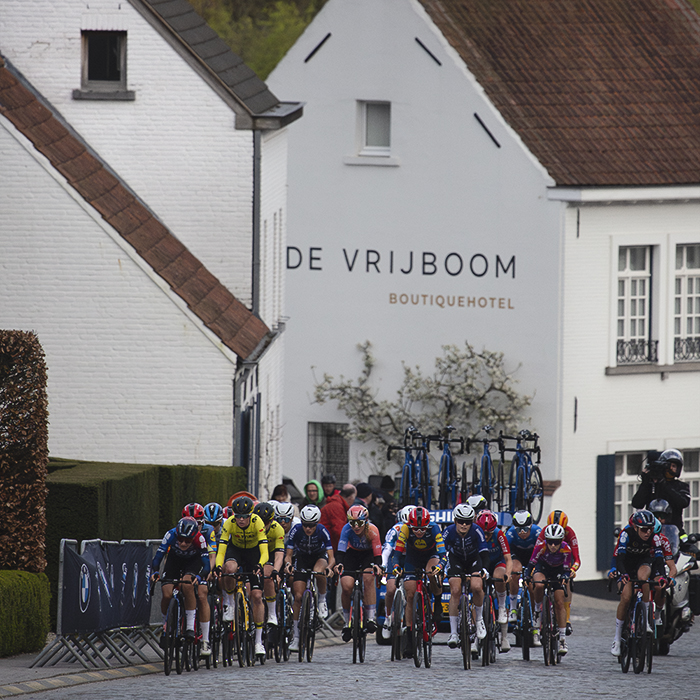 Dwars Door Vlaanderen Vrouwen 2024 - The women’s race seen against the white washed buildings of Nokere