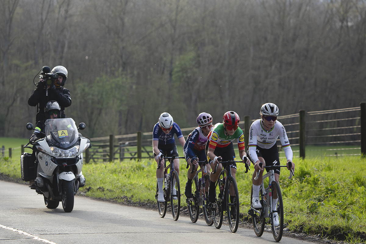 Dwars Door Vlaanderen Vrouwen 2024 - A group of elite riders on Waregemsestraat