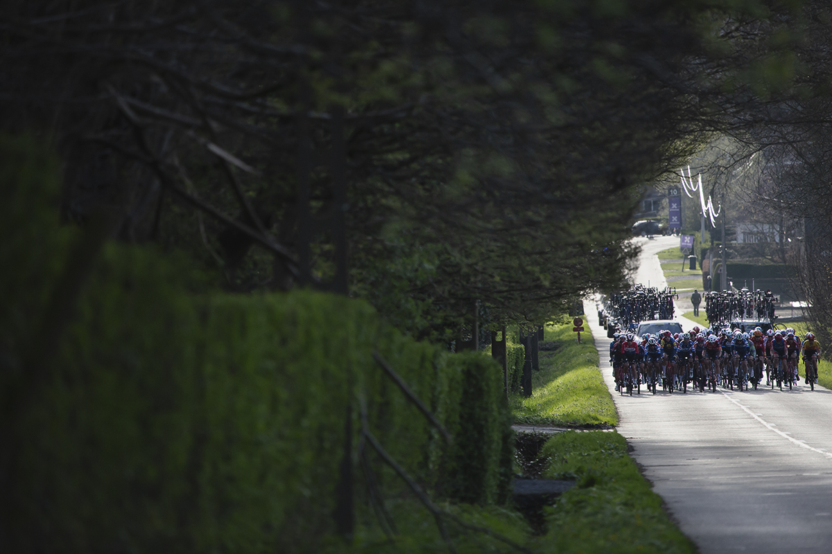 Dwars Door Vlaanderen Vrouwen 2024 - The women's peloton approaches on Waregemsestraat, leafy hedgerows frame them