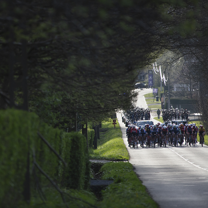 Dwars Door Vlaanderen Vrouwen 2024 - The women's peloton approaches on Waregemsestraat, leafy hedgerows frame them