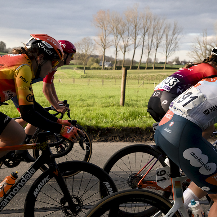 Dwars Door Vlaanderen Vrouwen 2024 - Riders form a frame for a view of the Belgian countryside