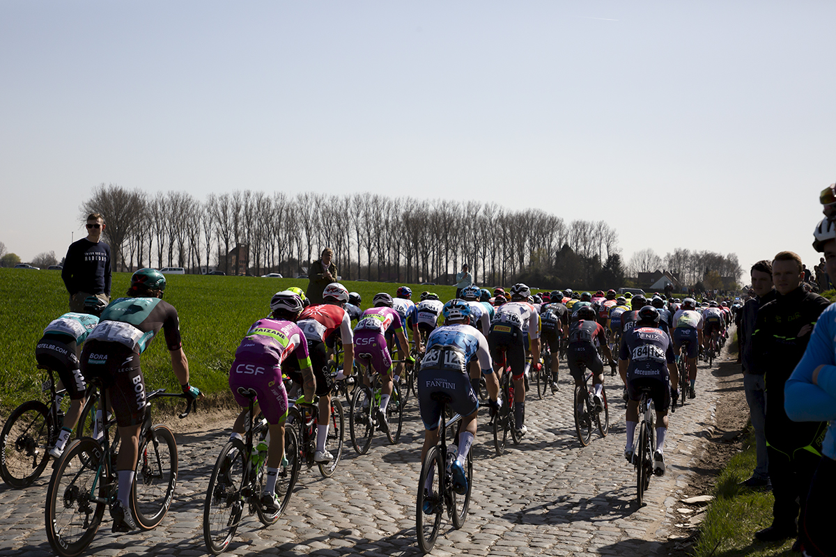 E3 BinckBank Classic 2019 - The back of the peloton as it moves off down Holleweg with a long straight row of trees in the background