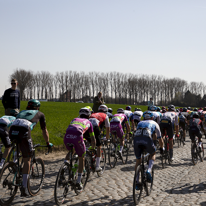 E3 BinckBank Classic 2019 - The back of the peloton as it moves off down Holleweg with a long straight row of trees in the background