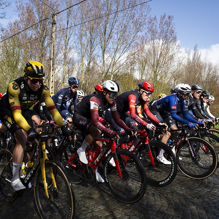 E3 Saxo Classic 2023 - The peloton climbs the cobbled hill as a block 