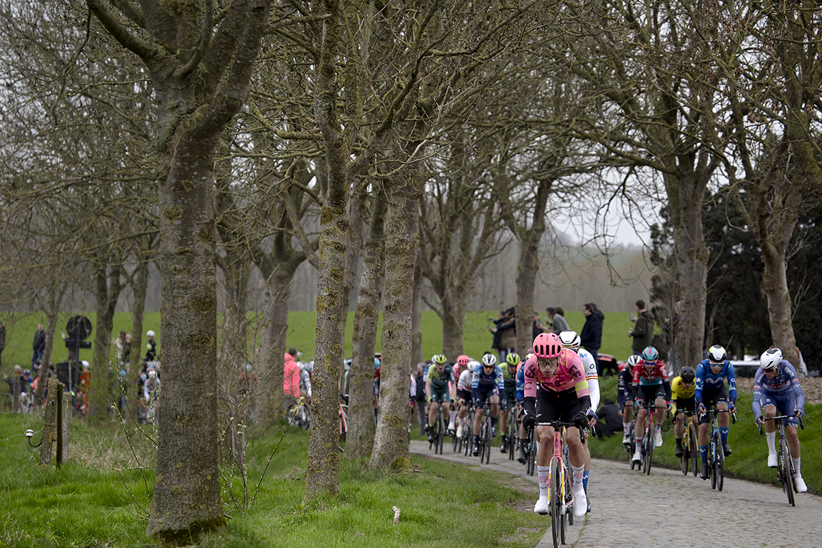 E3 Saxo Classic 2024 - Riders on a tree lined section of Paddestraat