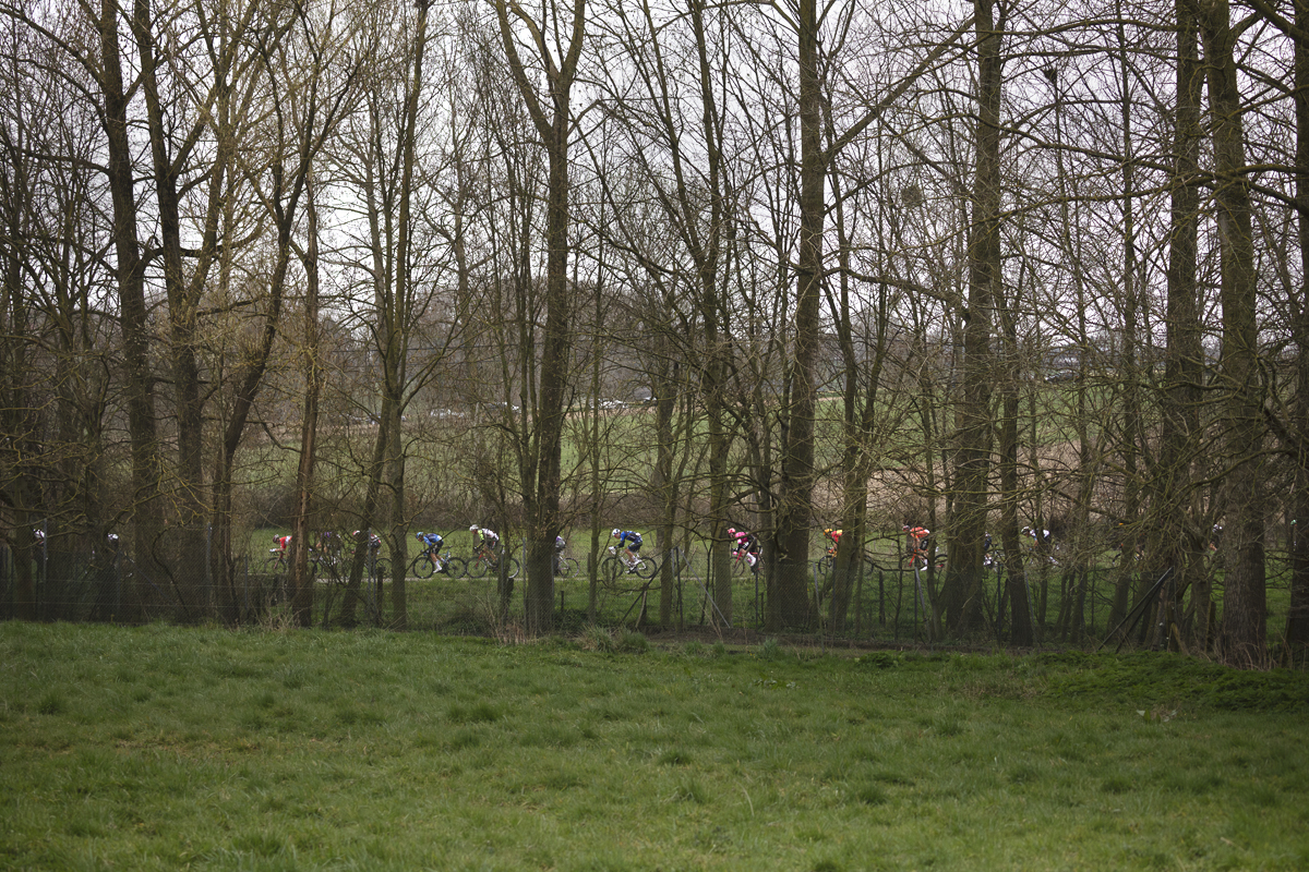 E3 Saxo Classic 2025 - Riders framed through the trees as they race on Donderij