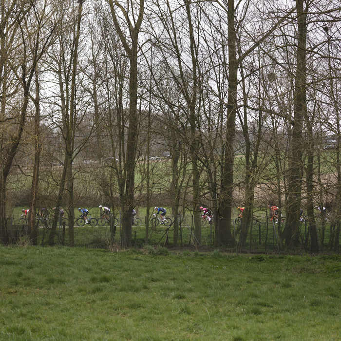 E3 Saxo Classic 2025 - Riders framed through the trees as they race on Donderij