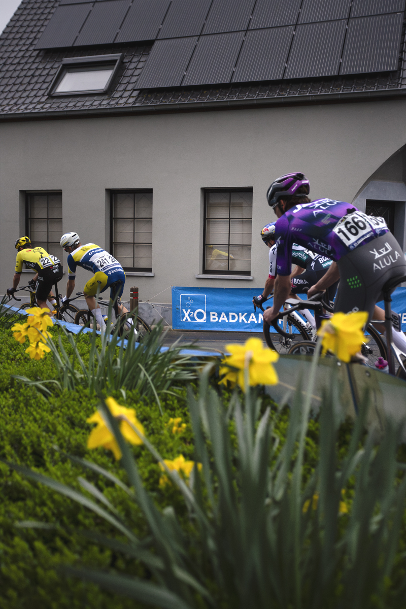 E3 Saxo Classic 2025 - Riders pass a bed of daffodils on the Tiegemberg