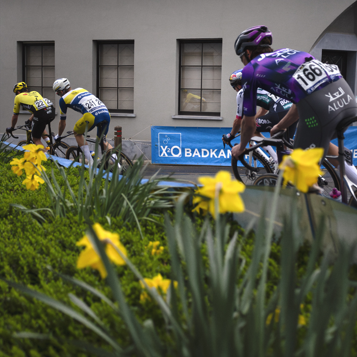 E3 Saxo Classic 2025 - Riders pass a bed of daffodils on the Tiegemberg