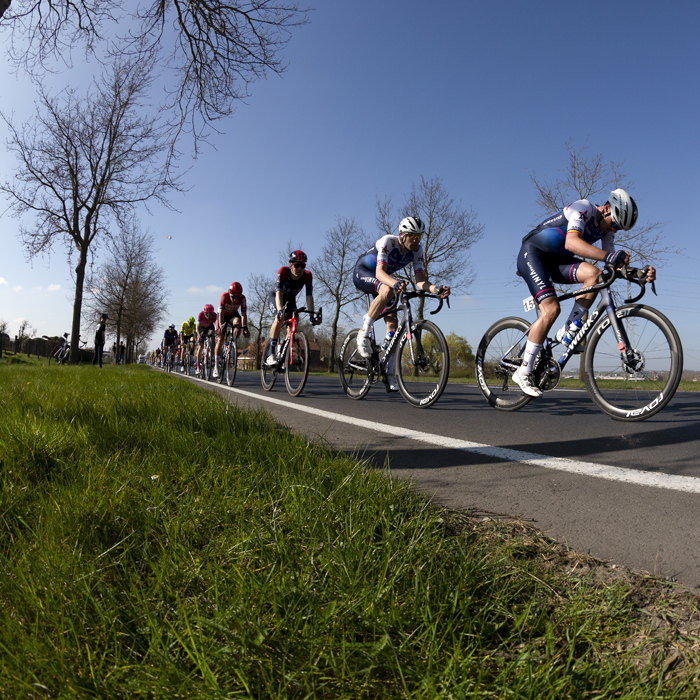 Gent - Wevelgem 2022 - A bunch of riders push on down a long tree lined road