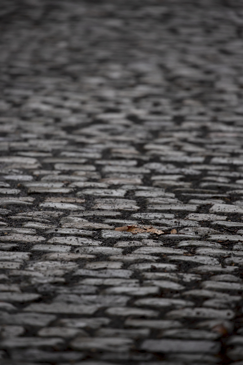 Gent - Wevelgem Vrouwen 2023 - A close up of the cobbles on the Kemmelberg Osuaire