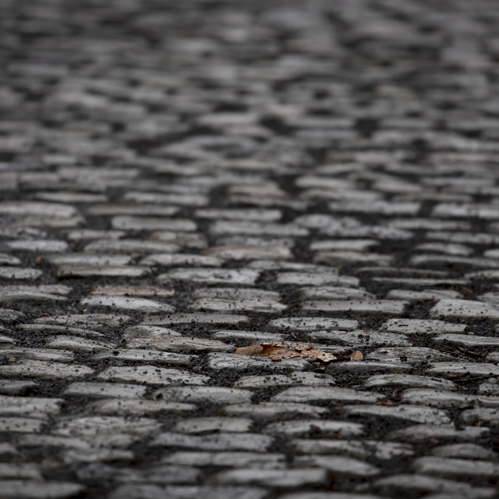 Gent - Wevelgem Vrouwen 2023 - A close up of the cobbles on the Kemmelberg Osuaire