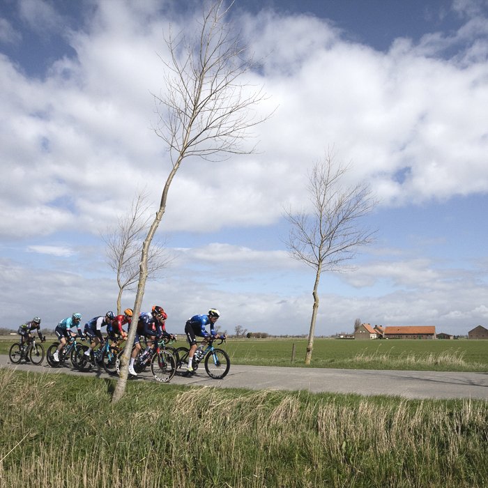 Gent Wevelgem 2024 - Riders come into view with a farm building in the distance and two young saplings on the road side in De Moeren