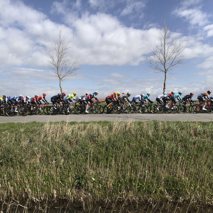 Gent Wevelgem 2024 - Riders pass in front of a reed lined drainage ditch on De Moeren