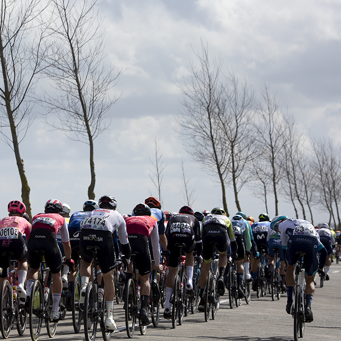 Gent Wevelgem 2024 - A rider looks over his shoulder at the race behind as young trees jut into the sky on De Moeren
