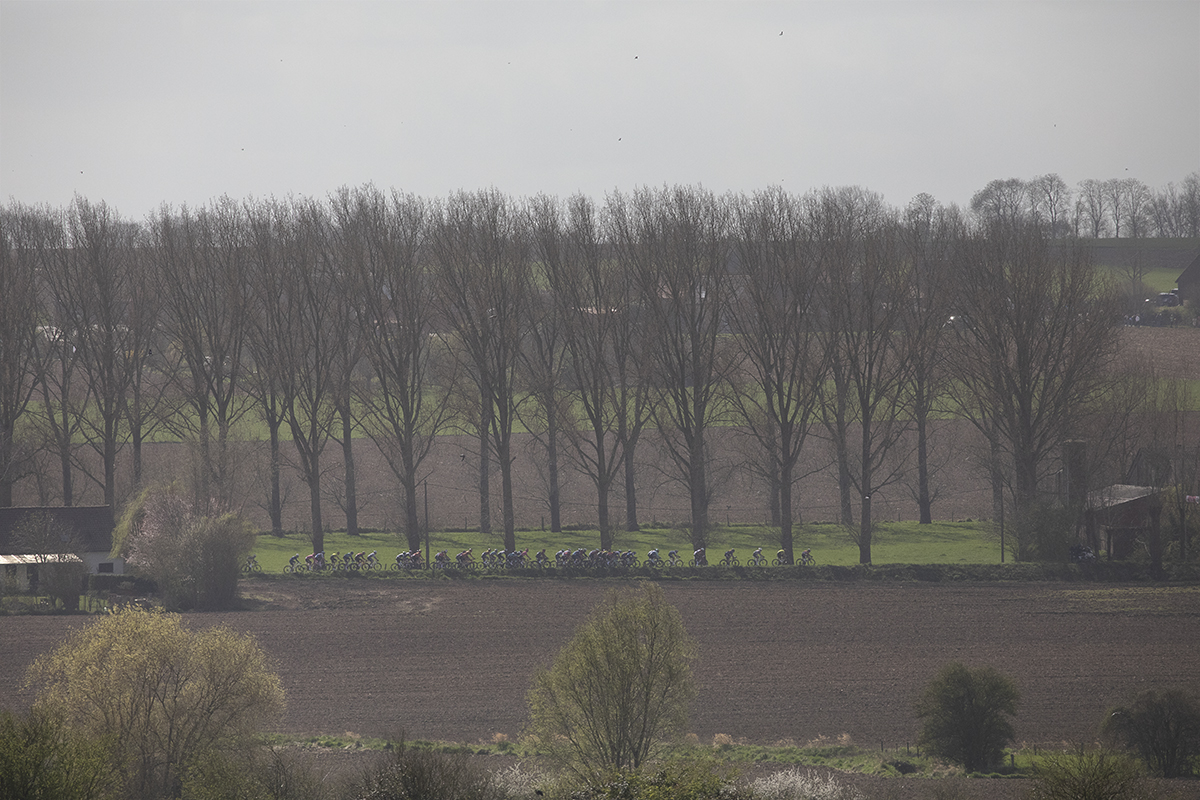 Gent Wevelgem 2025 - Riders seen from a distance on Chemin des Alliés