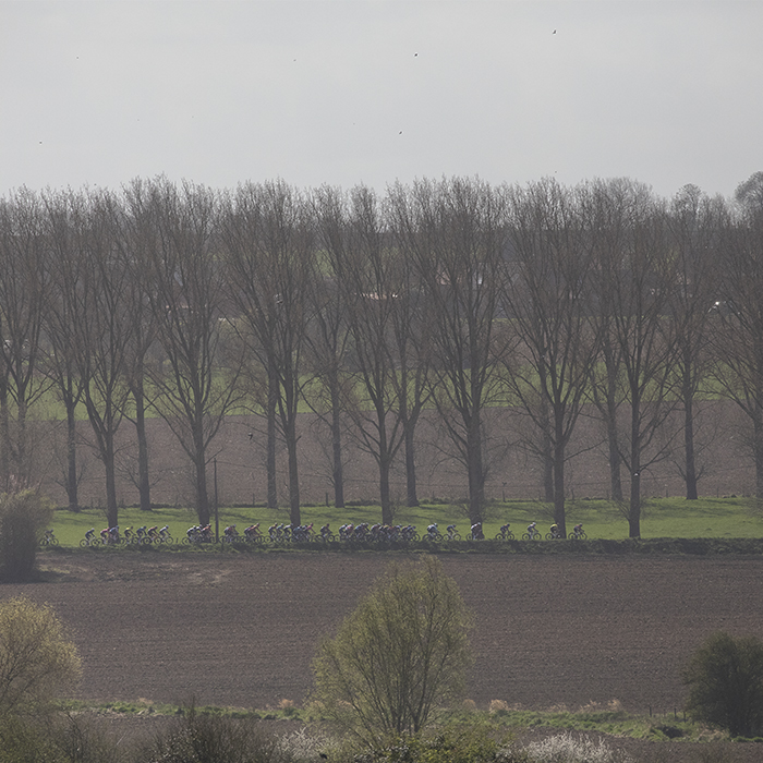 Gent Wevelgem 2025 - Riders seen from a distance on Chemin des Alliés