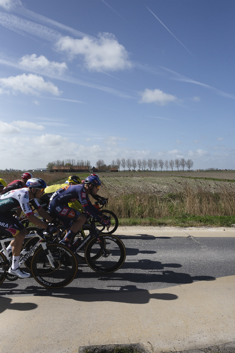 Gent Wevelgem 2025 - A line of riders in the flat countryside near Diksmuide, a farm in the distance picked out by a row of trees