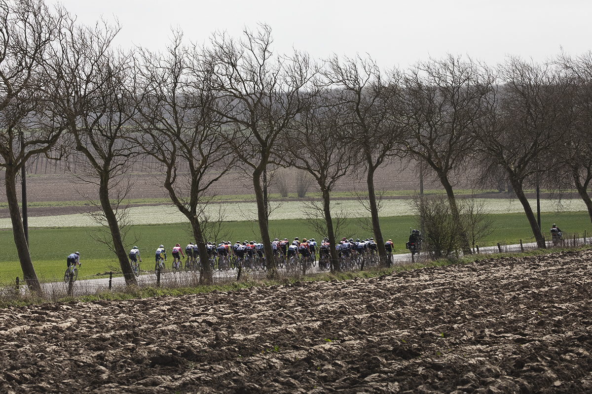 Gent Wevelgem 2025 - The peloton seen between the trees on Armentierssteenweg with the heavy clay of a ploughed field in the foreground