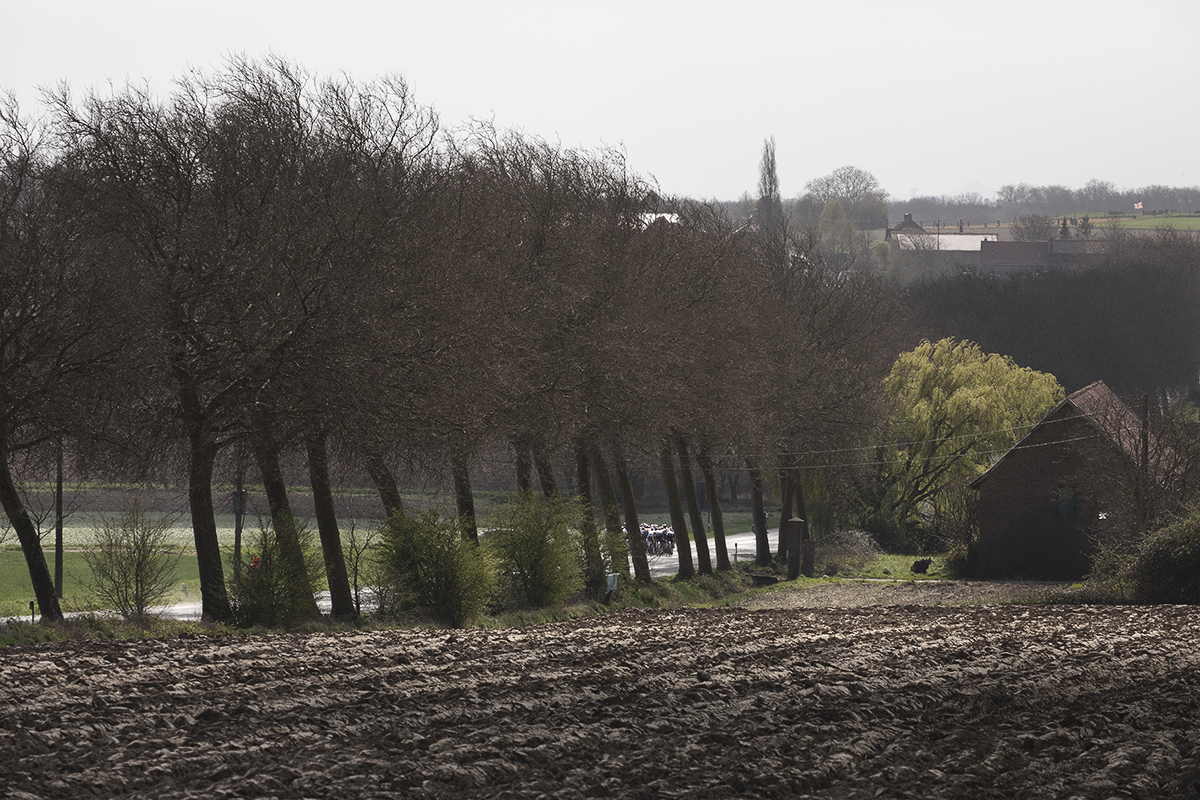 Gent Wevelgem 2025 - Riders seen framed. By trees on Armentierssteenweg as the light catches a brick built farm