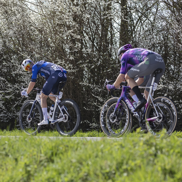 Gent Wevelgem 2025 - Olivier Le Gac looks over his shoulder towards the photographer while he and Max Walscheid cycle along a blossom laden hedgerow
