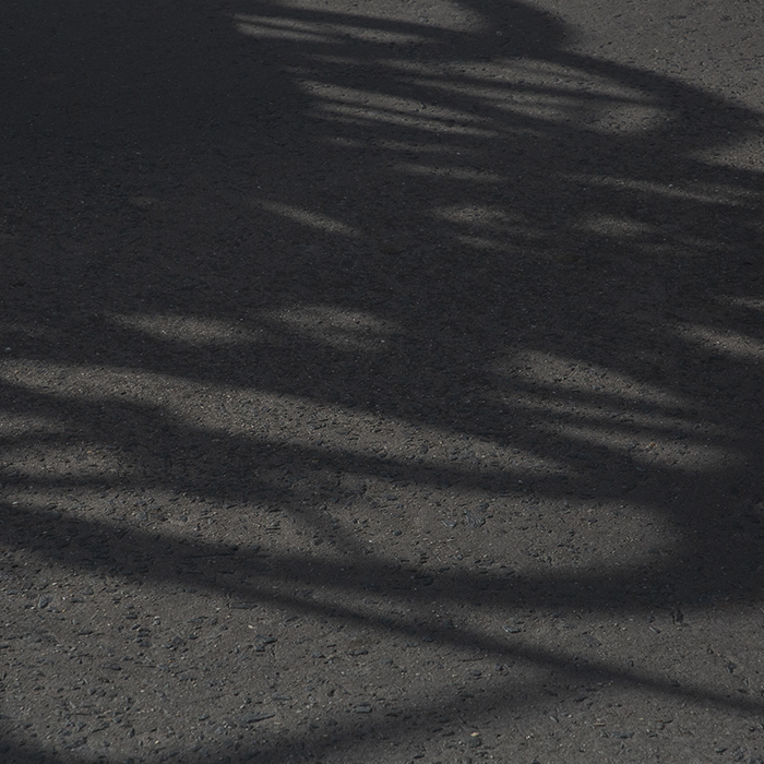 Gent Wevelgem 2025 - Shadows of spare bikes on a race car are cast on the road